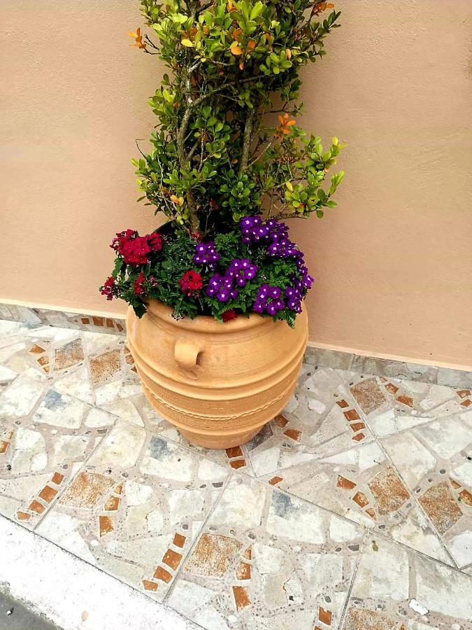 Joy New Port Studio Corfu Town المظهر الخارجي الصورة